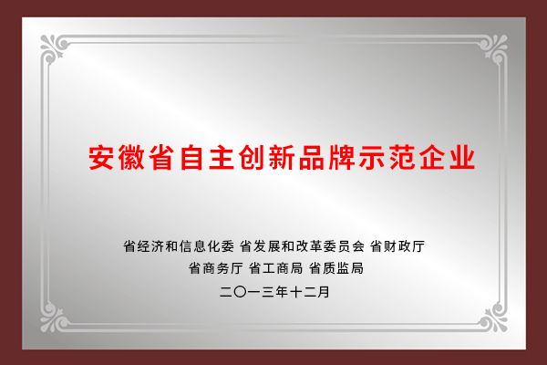 安徽省自主創(chuàng  )新品牌示范企業(yè)